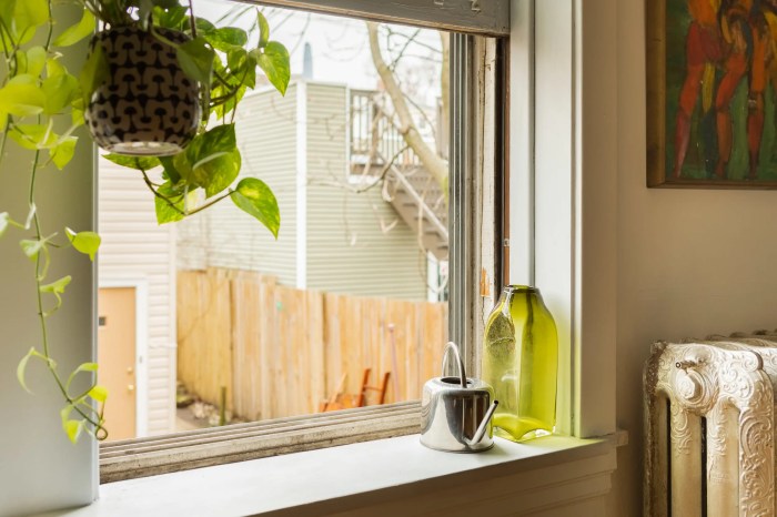 How to decorate window sill with plants