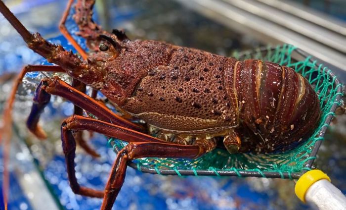 How to cook crayfish jamaican style