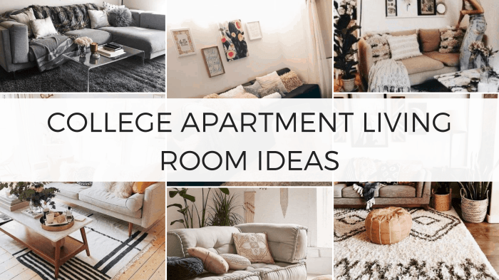 How to decorate college apartment living room